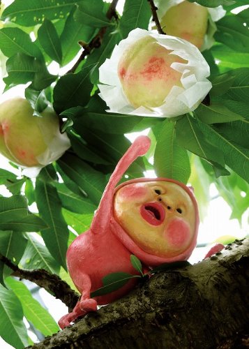 こびとづかん クリアファイルカクレモモジリの買取価格 相場 高価買取なら買取一括比較のウリドキ