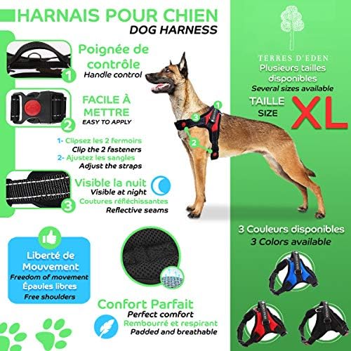 TERRES D'EDEN Harnais Gros Chien, Harnet Arnais Réglable pour Grand Chien Idéal pour Berger Allemand, Golden Retriever, Boxer, Rottweiler, Cane Corso – Taille XL [Satisfait Ou Remboursé]