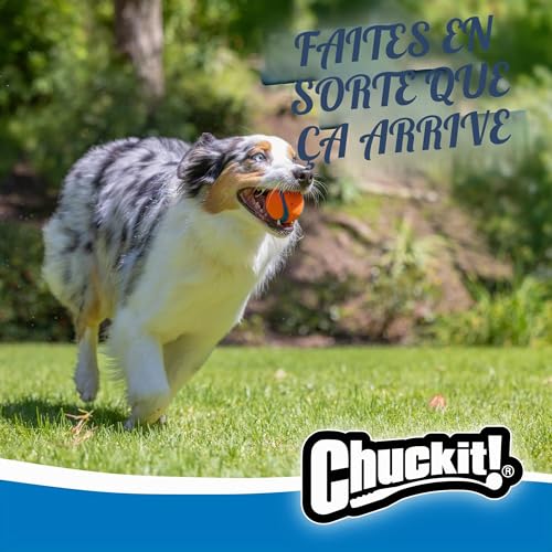 Chuckit! Ultra Balls Medium - Pack of 2 Suitable for all breeds of dog