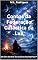 Livro Contos da Federação Galáctica da Luz (Os Arquivos dos Espíritos™ Livro 10)