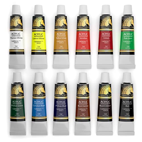 Acrylic Paint Set 12 x 12ml Tubes Lightfast Heavy Body Great Tinting Strength