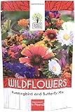 Bulk Wildflower Seeds Butterfly and Humming Bird Mix - 1/4 Pound Bag - Over 30,000 Open Pollinated Annual and Perennial Seeds