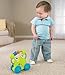 Fisher-Price Growing Baby Pull Along Froggie