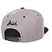 NCAA Men's Z11 Slate Snapback Hat