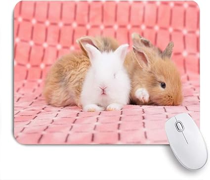 Amazon Miscery マウスパッド ピンクのうさぎの野生動物の週に愛らしい茶色生まれの若い赤ちゃんウサギグレーバニーcopyspace かわいい国内 高級感 おしゃれ 防水 端ステッチ 耐久性が良い 滑らかな表面 滑り止めゴム底 24cmxcm Miscery マウスパッド 通販