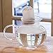 Primula Blossom Glass Teapot, 1 Flowering Teas, Green