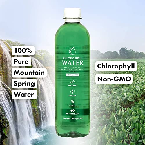 Chlorophyll Water Purified Mountain Spring Water w/Liquid Chlorophyll
