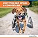 Walkin' Wheels Dog Wheelchair - for Small Dogs 11-25 Pounds - Veterinarian Approved - Dog Wheelchair for Back Legs