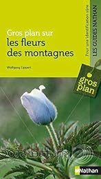 Fleurs des montagnes