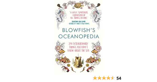 Blowfish S Oceanopedia 291 Extraordinary Things You Didn T Know About The Sea Main Hird Tom The Blowfish Amazon Com