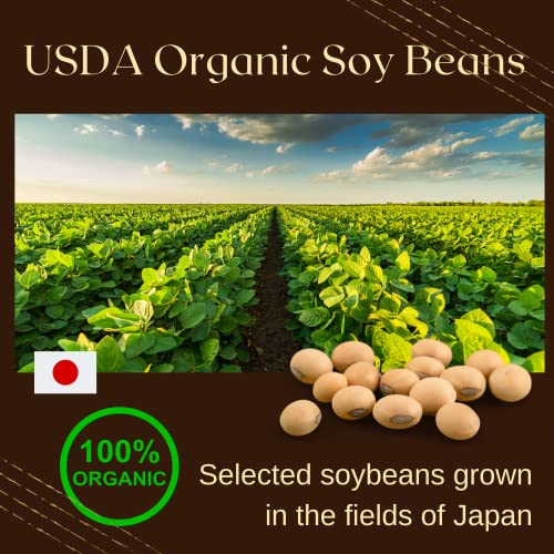 SoyJOCK TVP Organic Soy Beans Protein Strips Vegan Meat Substitute