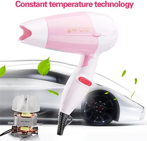 Foldable Design Anion Hairdryer, Portable Mini Size For Home Travel Carry (900W Dual Voltage Blower DC Motor)