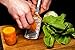 Grater by Nature's Kitchen - Coarse - Commercial Grade Stainless Steel