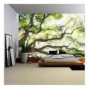 Self-Adhesive Wallpaper Large Wall Mural Series 66"x96"