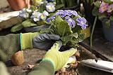 Spear & Jackson Kew Gardens Seeding & Weeding Gloves Large view 2