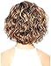 TopWigy Short Curly Women Wigs Side Part Bob Style Highlight Ombre Mixed Brown Color Capless Synthetic Full Wigs (Mixed Brown 14