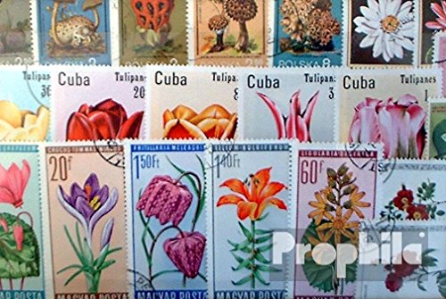 Prophila Collection Motives 100 various Flowers and Plants stamps (Stamps for collectors) plants/mushrooms
