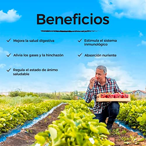 Blanca Probióticos para mujer Vitalitown Con prebióticos, enzimas digestivas y arándanos Vegano y sin OMG 30 cápsulas vegetales 30 cepas