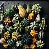 “Lunch Lady” Gourd Seeds