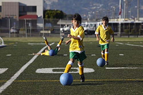 one world futbol project