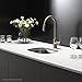 KRAUS Premier 15-inch 18 Gauge Undermount Single Bowl Stainless Steel Kitchen Bar Sink, KBU17