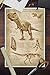 Tyrannosaurus Rex Dinosaur, Da Vinci Style (12x18 Art Print, Wall Decor Travel Poster)