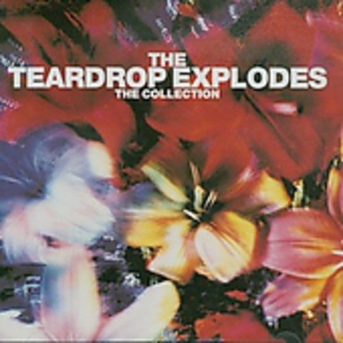 The Teardrop Explodes - Passionate Friend Lyrics - Zortam Music