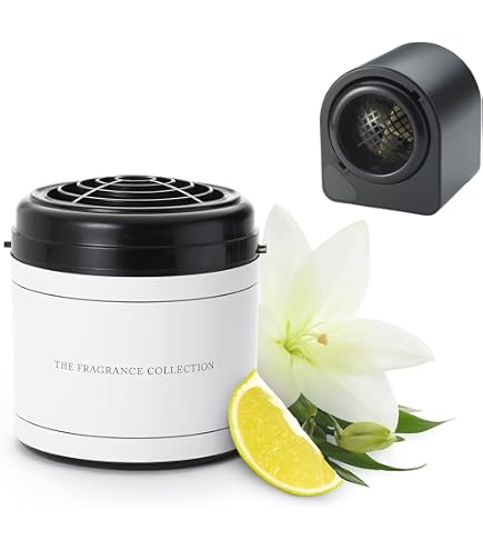 Amazon.com: The Ritz-Carlton Room Spray - Amelia Island - Tranquil