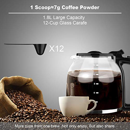 Gevi 12Cup Coffee Maker, Programmable Drip Coffee Machine, Automatic