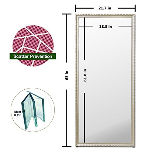Hans & Alice 65"x24" Rectangular Bathroom Full Length Floor Mirror Standing or Hanging(Champagne