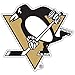 NHL Pittsburgh Penguins 23895041 Premium Acrylic Carded Magnet, Small, Black