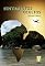 Livro Sentimentos Ocultos