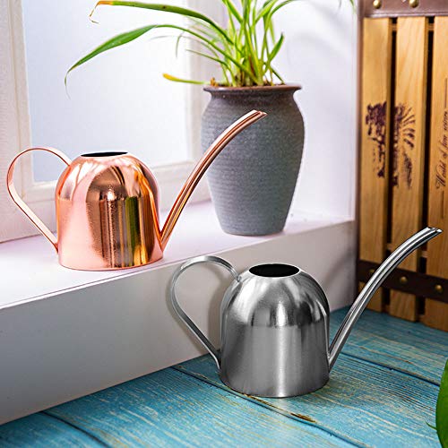 Watering Can Indoor Plants,1500ml/50oz Silver Long Spout Stainless Steel Decorative Sturdy Metal