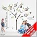 OMH Oh My Home Wall Decal Family Tree Wall Art Decor with Photo Frame, Love Quotes and Growth Chart for Kids