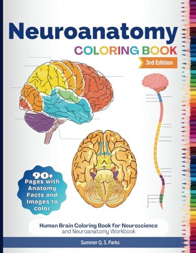 A Colorful Introduction to the Anatomy of the Human Brain: A Brain