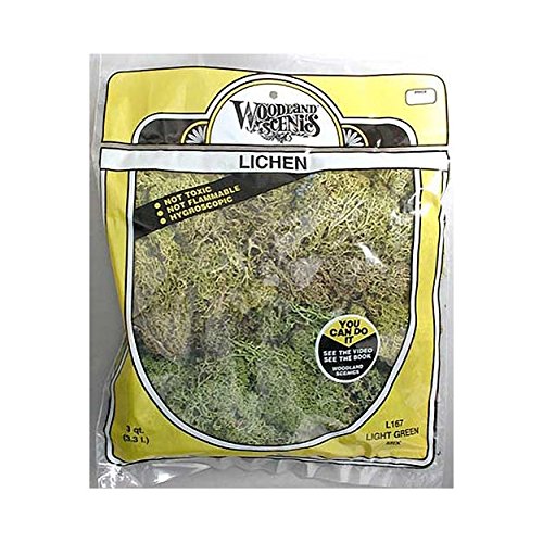 Lichen Bag, Light Green Mix/165 cu. in.