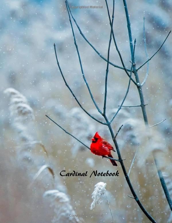 Cardinal Notebook: Cardinal Bird Design Notebook, Journal