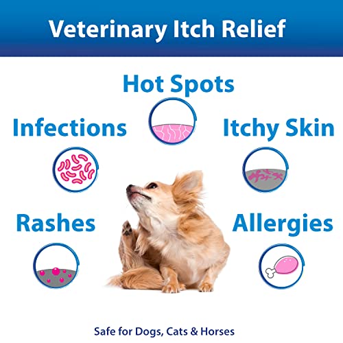 BEXLEY LABS Curaseb Medicated Chlorhexidine Hot Spot Treatment for Dogs & Cats Relieves Skin