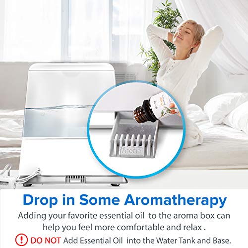 LEVOIT Aroma Pads (12 Pack) Perfectly Suit for LV600HH and LV600S Warm