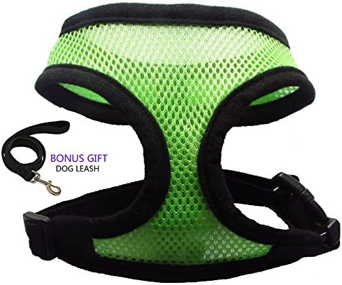 Pet Club No Pull Dog/Cat Harness and Leash Set for Walking, Padded Dog Vest Harnesses for Puppy Small Dogs/Cats, Cat Dog Training Collar Pink,XS,S
