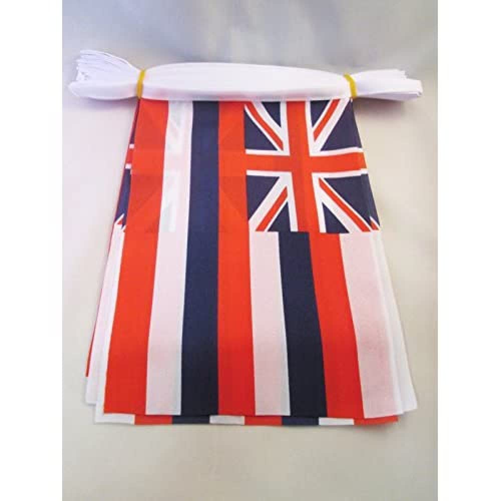 AZ FLAG Hawaii Bunting Flag, 20 Ft Garland 20 Small US state of Hawaii Flags 8'' x 6'', 100% Polyester String Pennant, 6 meters — image 1