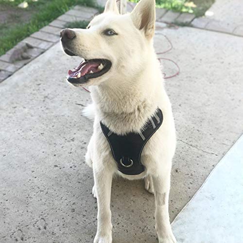 BABYLTRL Big Dog Harness No Pull Adjustable Pet Reflective Oxford Soft Vest for Large Dogs Easy Control Harness - Image 5