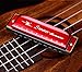 Ladnis Harmonica C 10 Holes Mouth Organ Best Gift for Professional Player,Beginner,Students,Music Fans,Children,Adults (Red)
