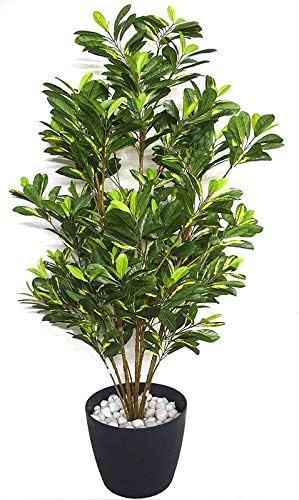 OjOrey White Ficus Flower Indoor Outdoor Plant with Pot
