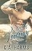 Noah's Journey (Sawyer Brothers Series Book 3)