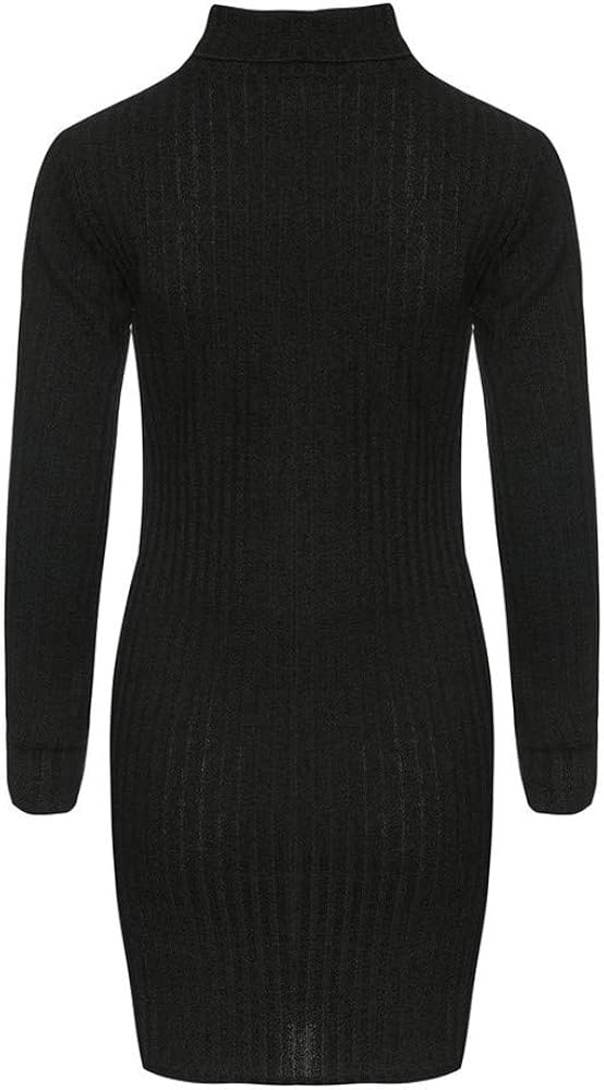 Women's Sweater Dress, Casual Turtleneck Long Sleeve Pullover Slim Fit Knit Tops at  Women’s Clothing store