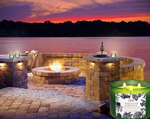 T&H Citronella Candles Outdoor Indoor Large Pure Soy Wax 3-Wick Scent Candle 80 Hour Burn 16 Ounces Highly Scented Long Lasting
