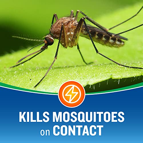 Cutter Backyard Bug Control Outdoor Fogger (2 Pack), Kills Mosquitoes