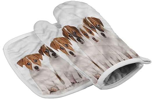 home cooking for puppies