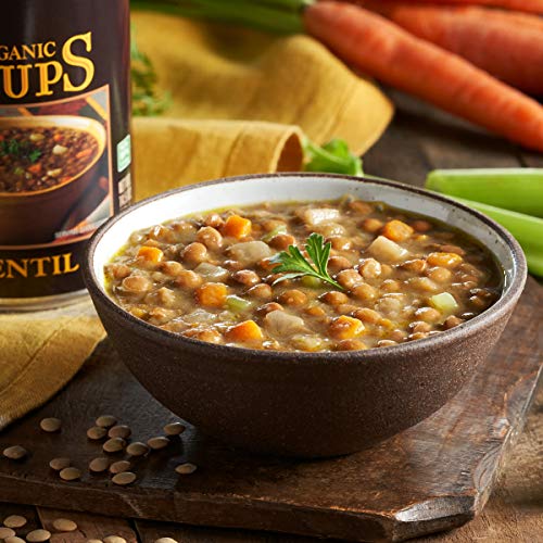 Amy's Soup, Vegan, Gluten Free, Organic Lentil, 14.5 Ounce Pricepulse